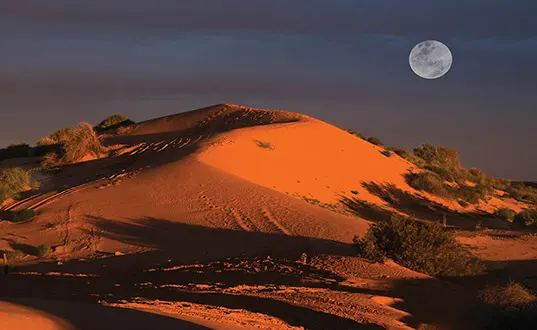 Simpson Desert