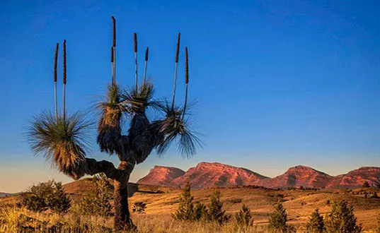 Flinders Ranges