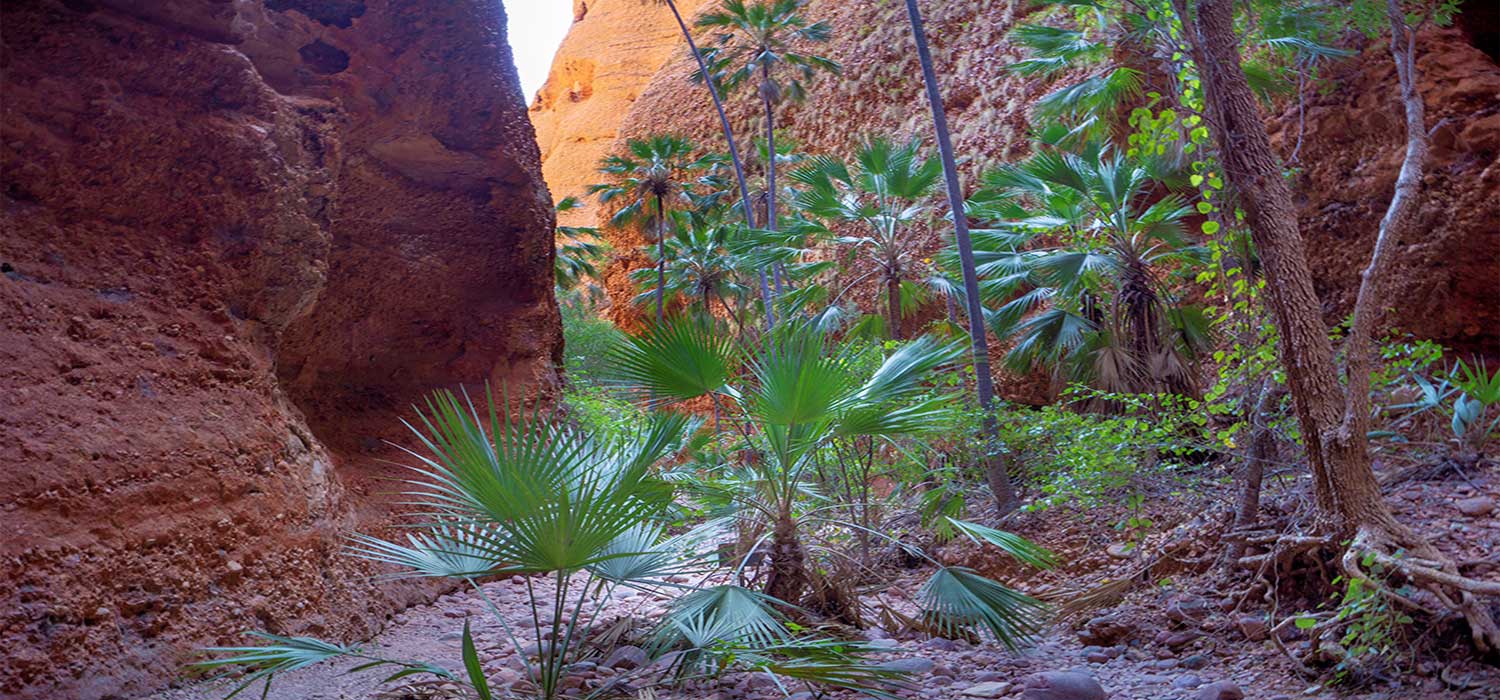 Entrace to Echidna Gorge
