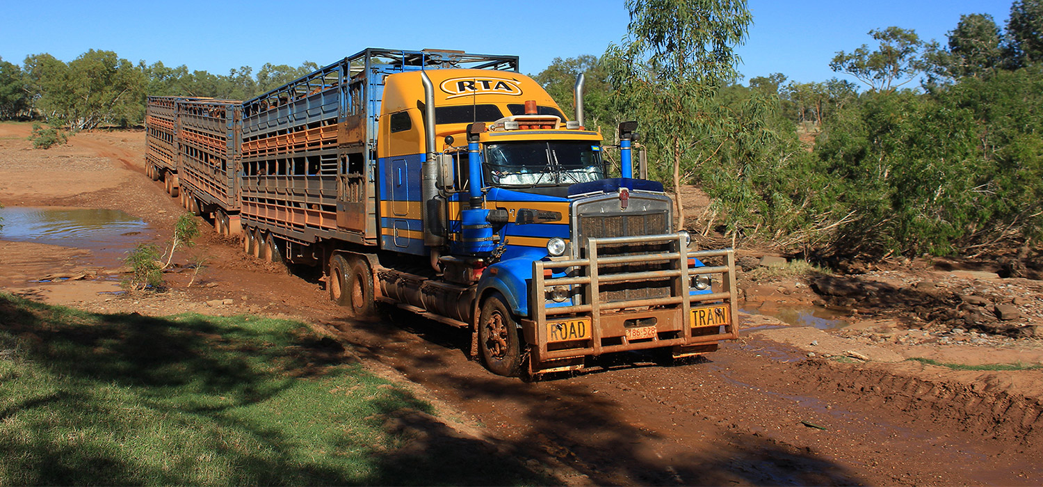 Cattle truck at Halls Creek