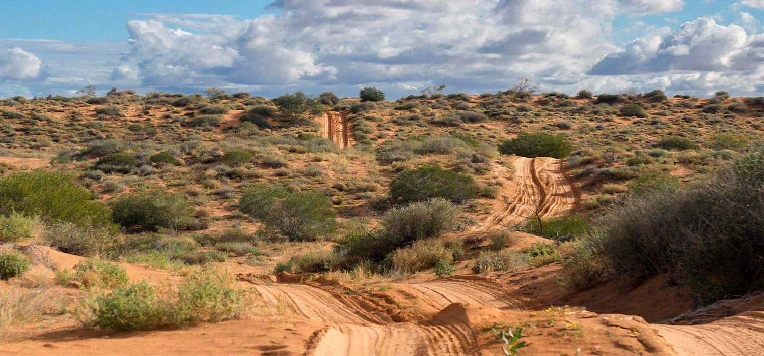 The French line is the route through the simpson Desert