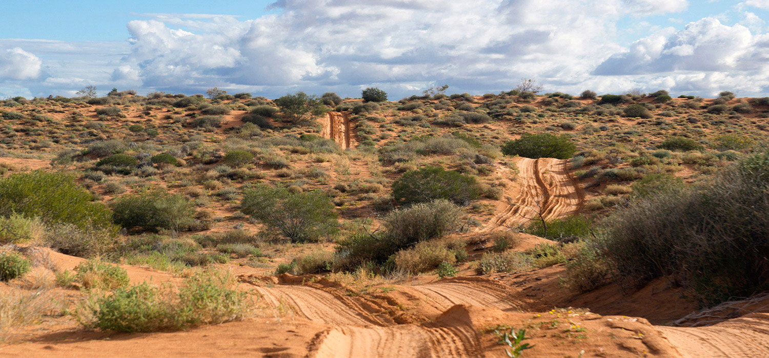 The French line is the route through the simpson Desert