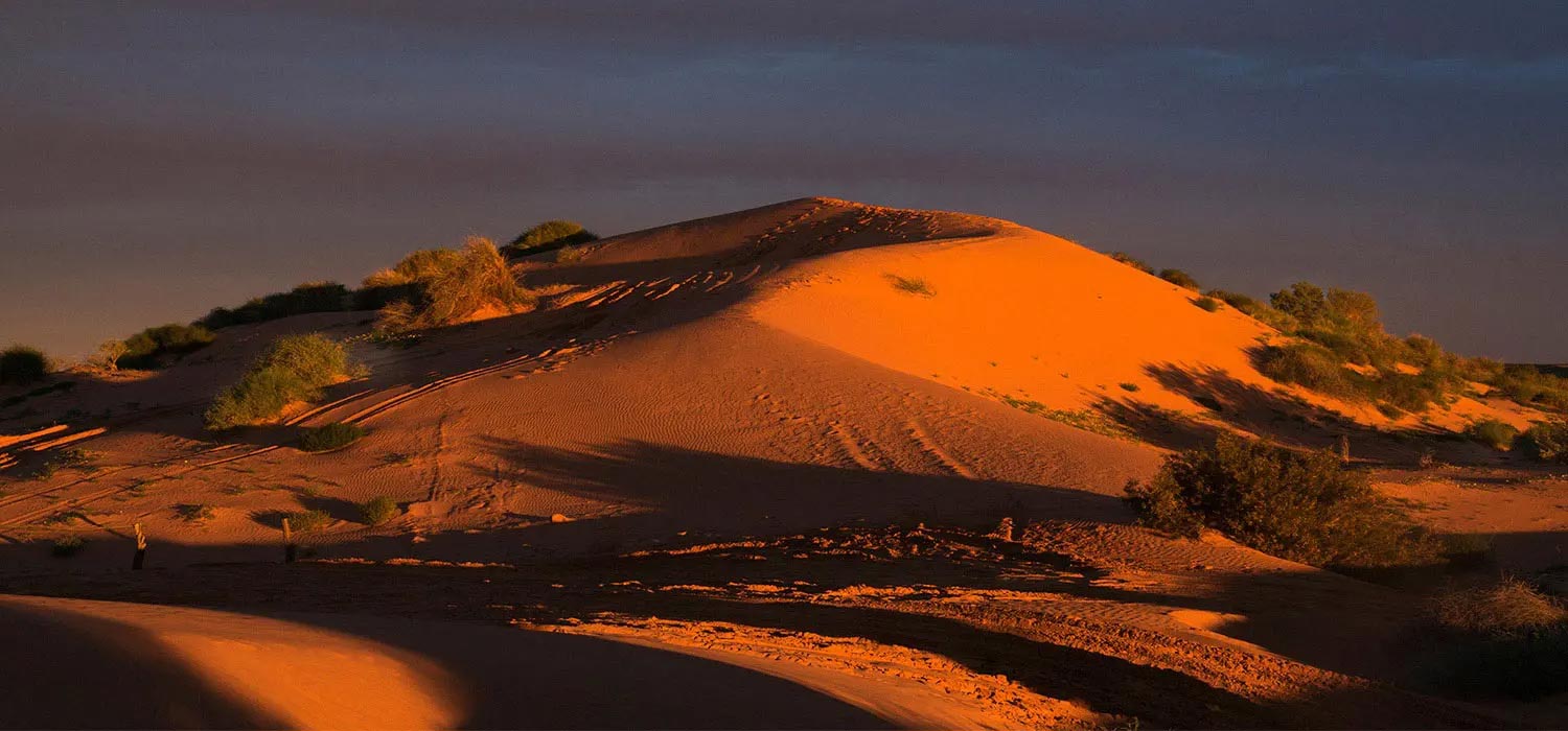 Sunset in the Simpson Desert