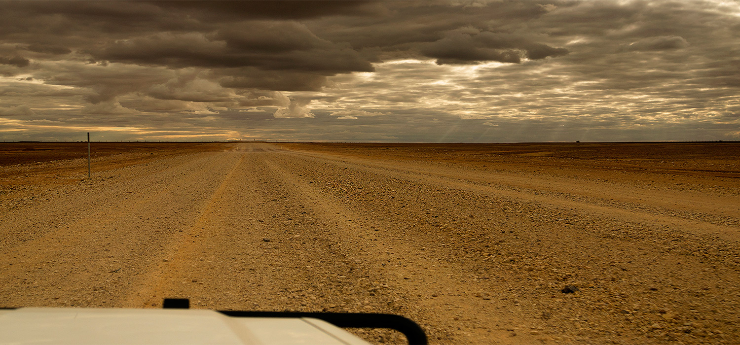 Birdsville track