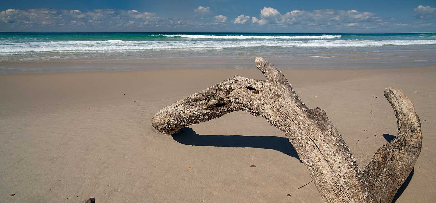 North beach on Bribie Island, no cars allowed