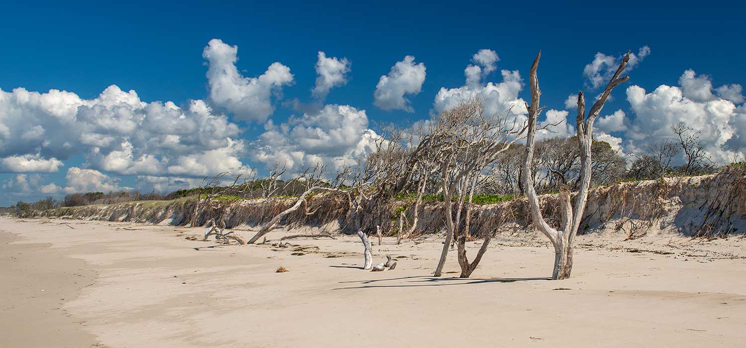 North beach on Bribie Island, no cars allowed
