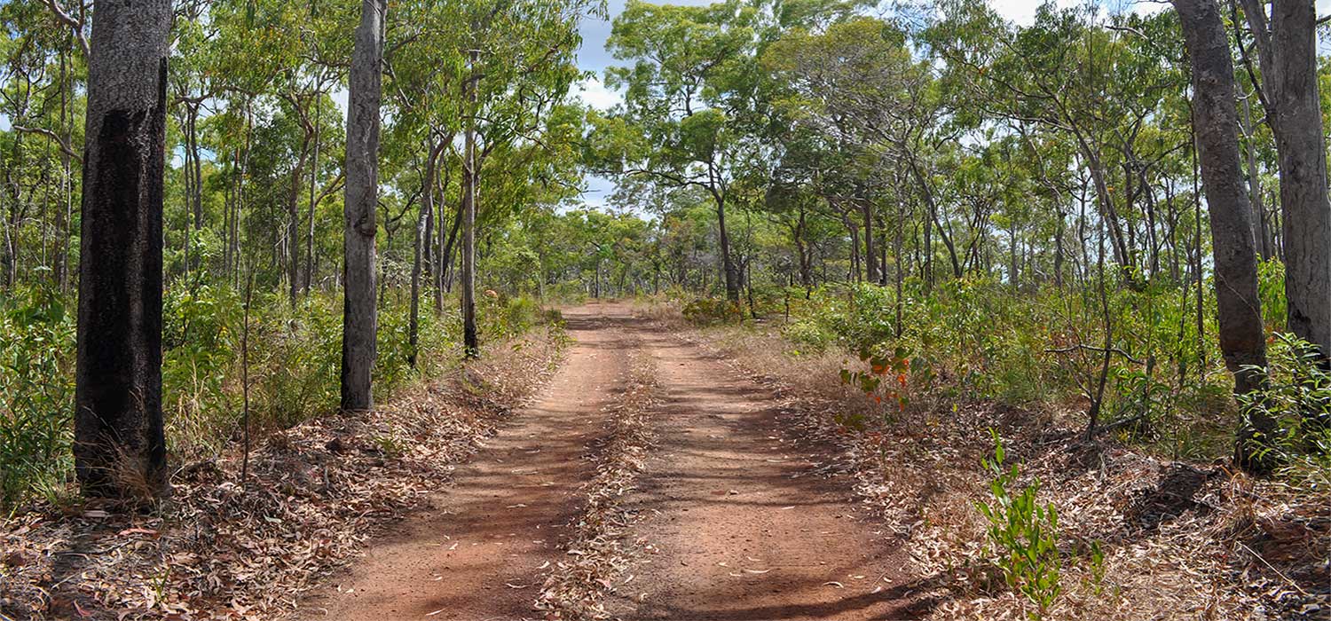 Track to Ussher Point