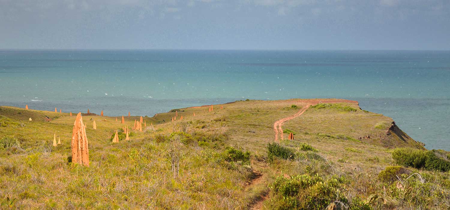 Magnetic Termite Mounds on the track to Ussher Point