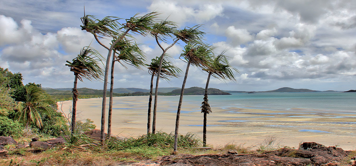 Frangipani beach