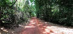 Track to Vrilya Point