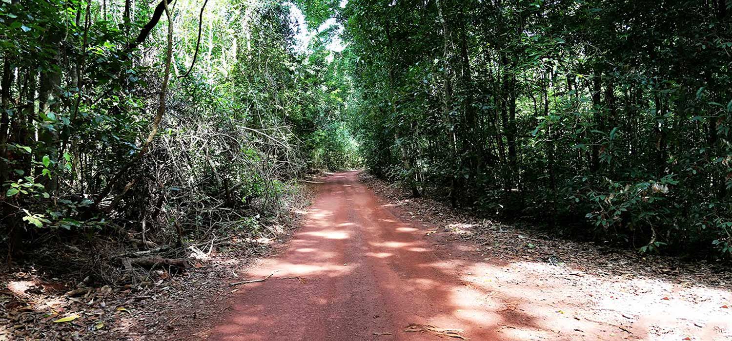 Track to Vrilya Point