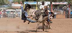 Rodeo at Normanton