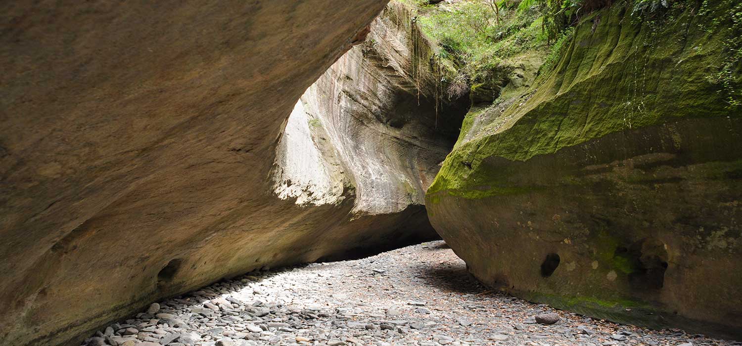 Boowinda gorge at Carnarvon Gorge
