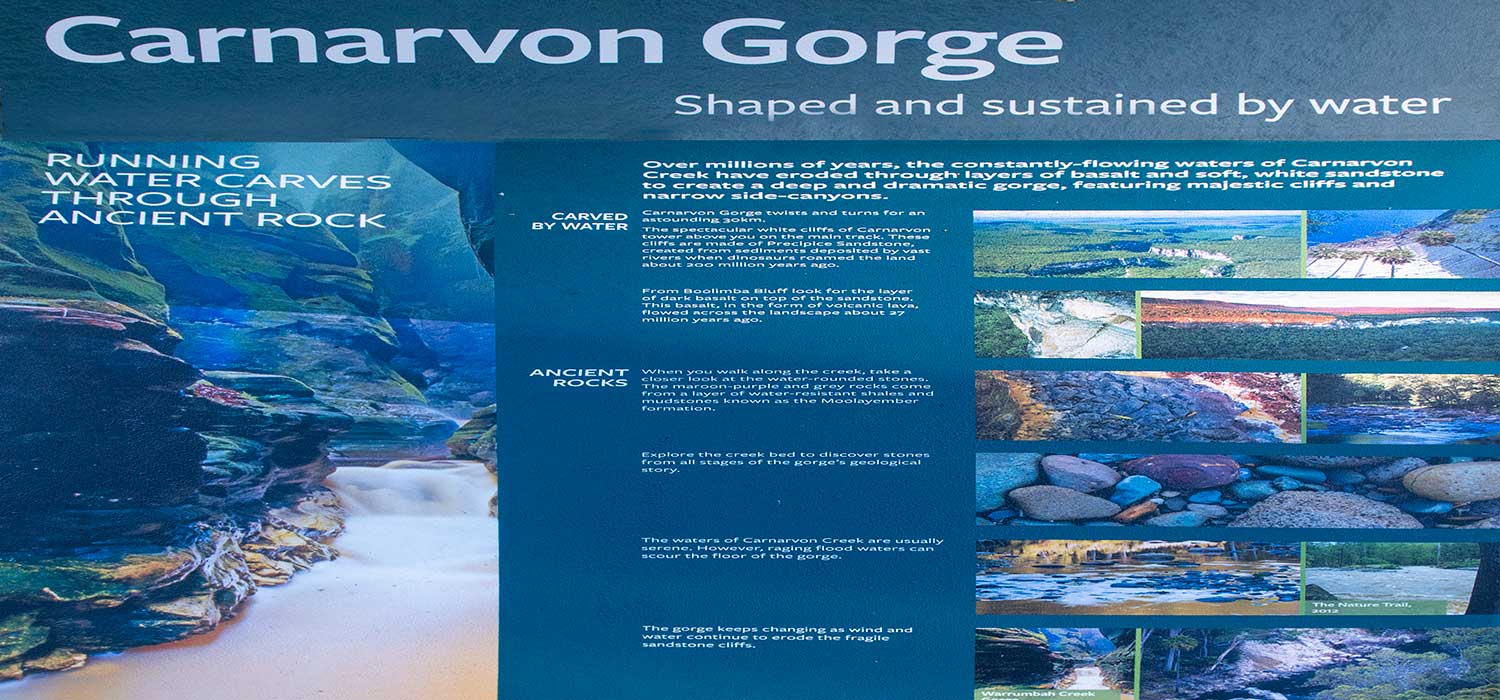 The entrance to Carnarvon Gorge