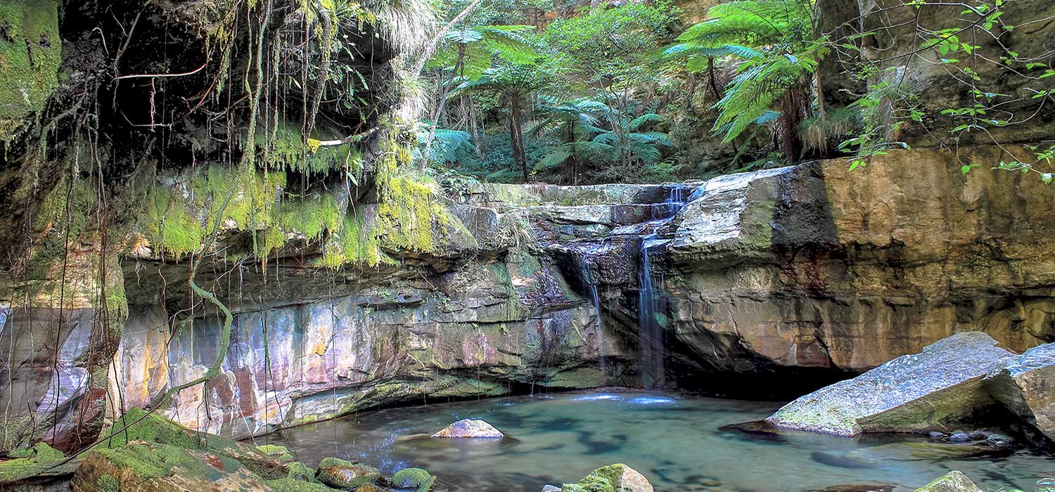 The Moss Garden at Carnarvon Gorge