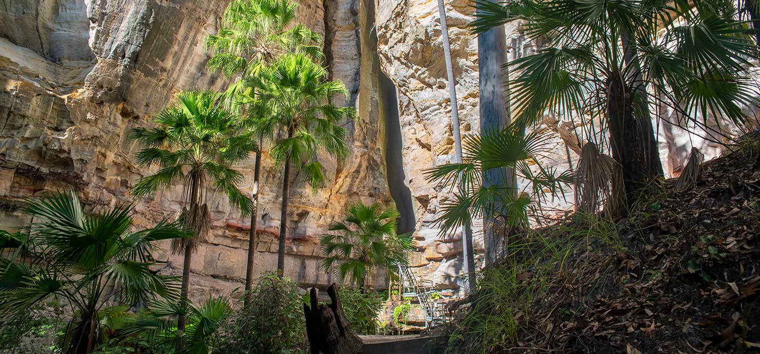 The entrance to the Ampitheatre at Carnarvon Gorge