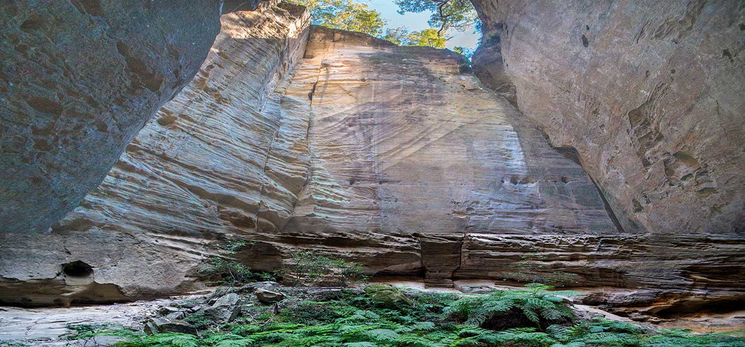The Ampitheatre at Carnarvon Gorge