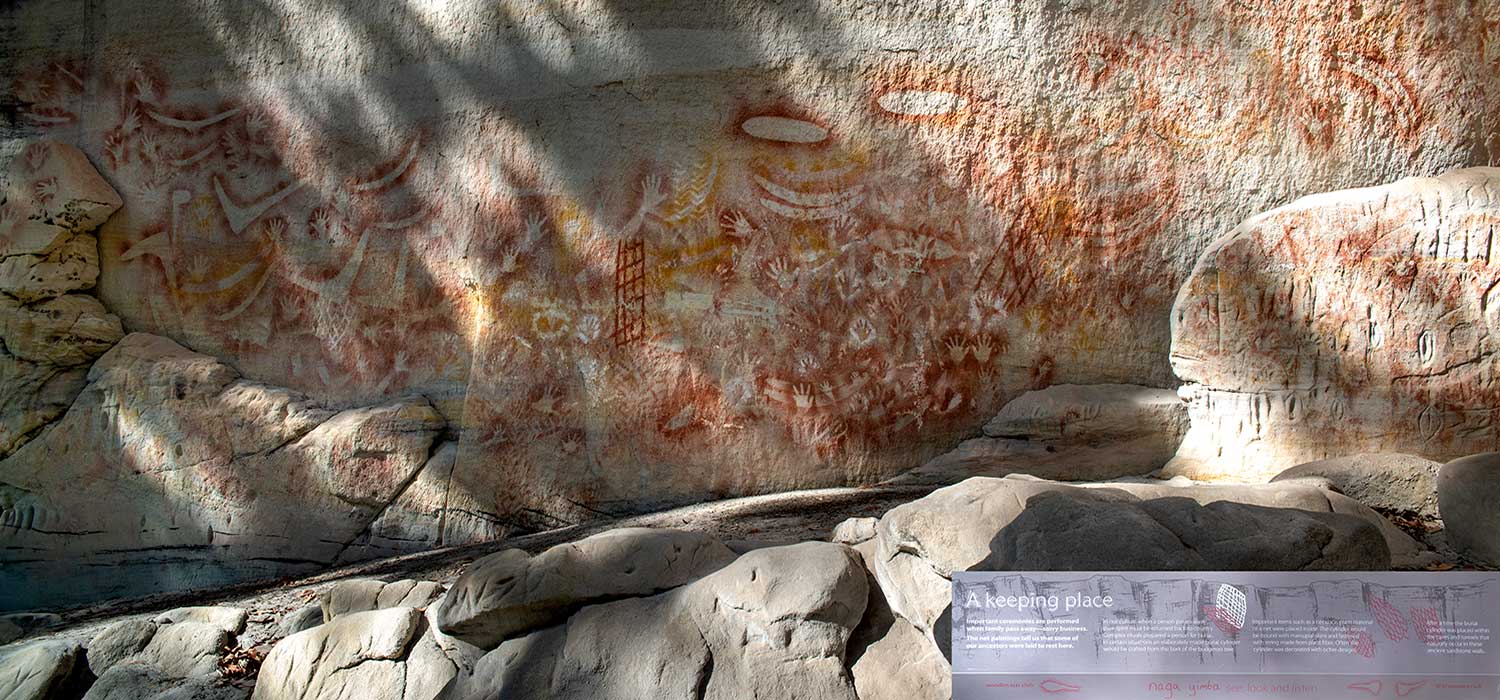 Wards canyon at Carnarvon Gorge