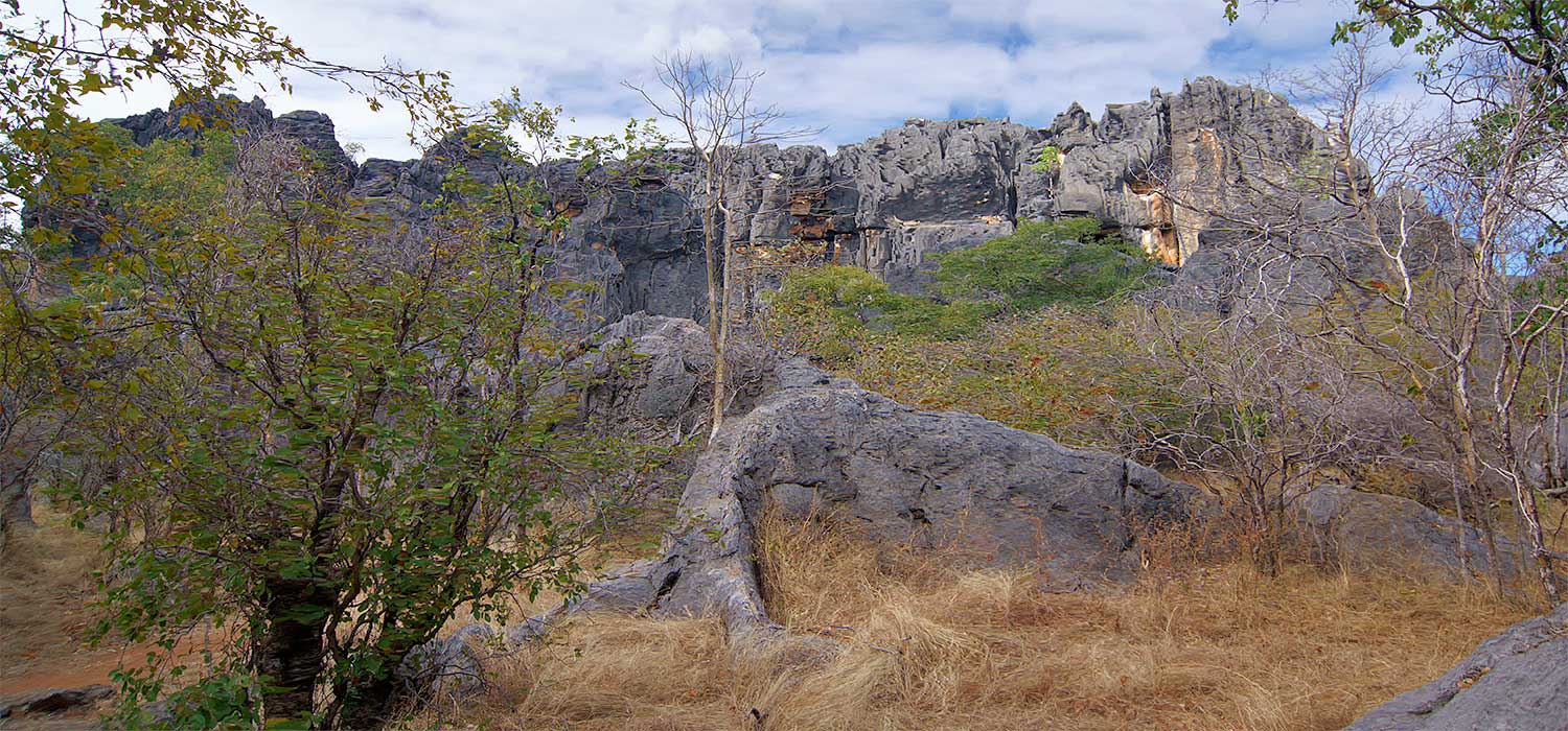 The limstone cliffs