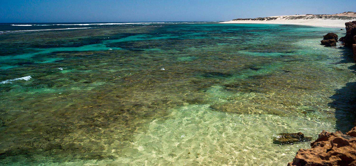 The Ningaloo Reef