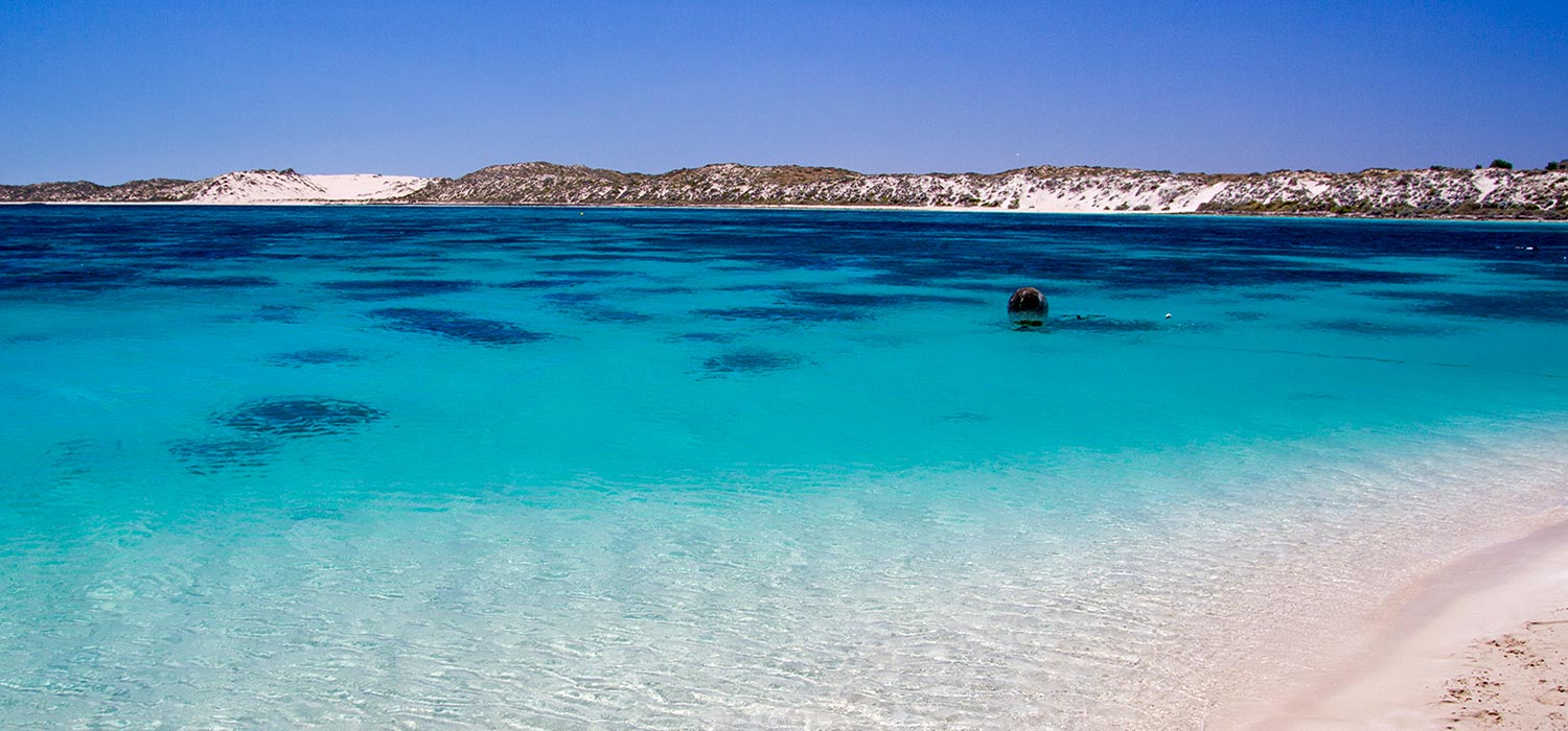 Colours of Coral Bay