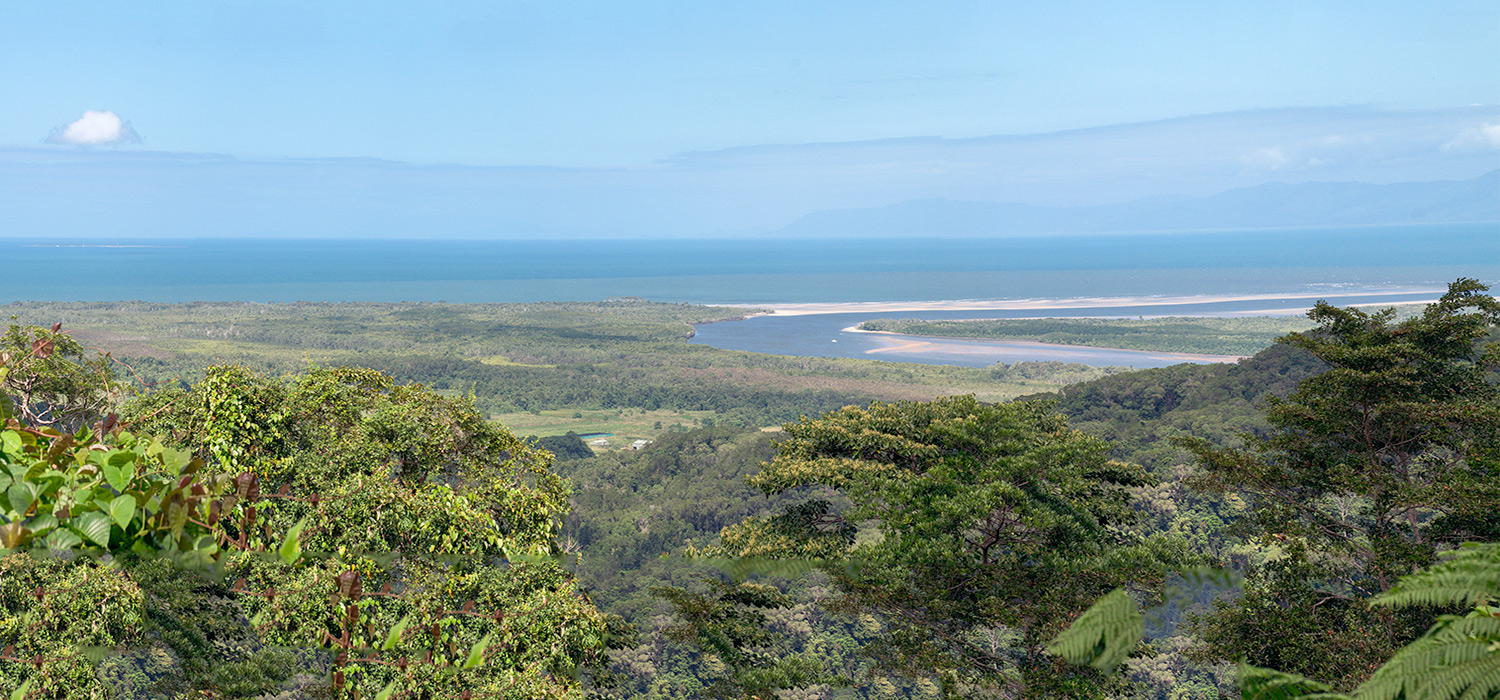 Daintree river mouth