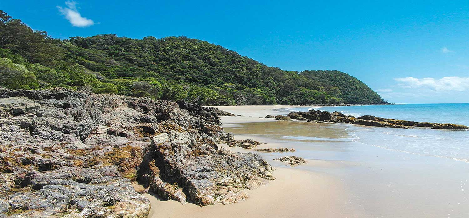 Cape Tribulation