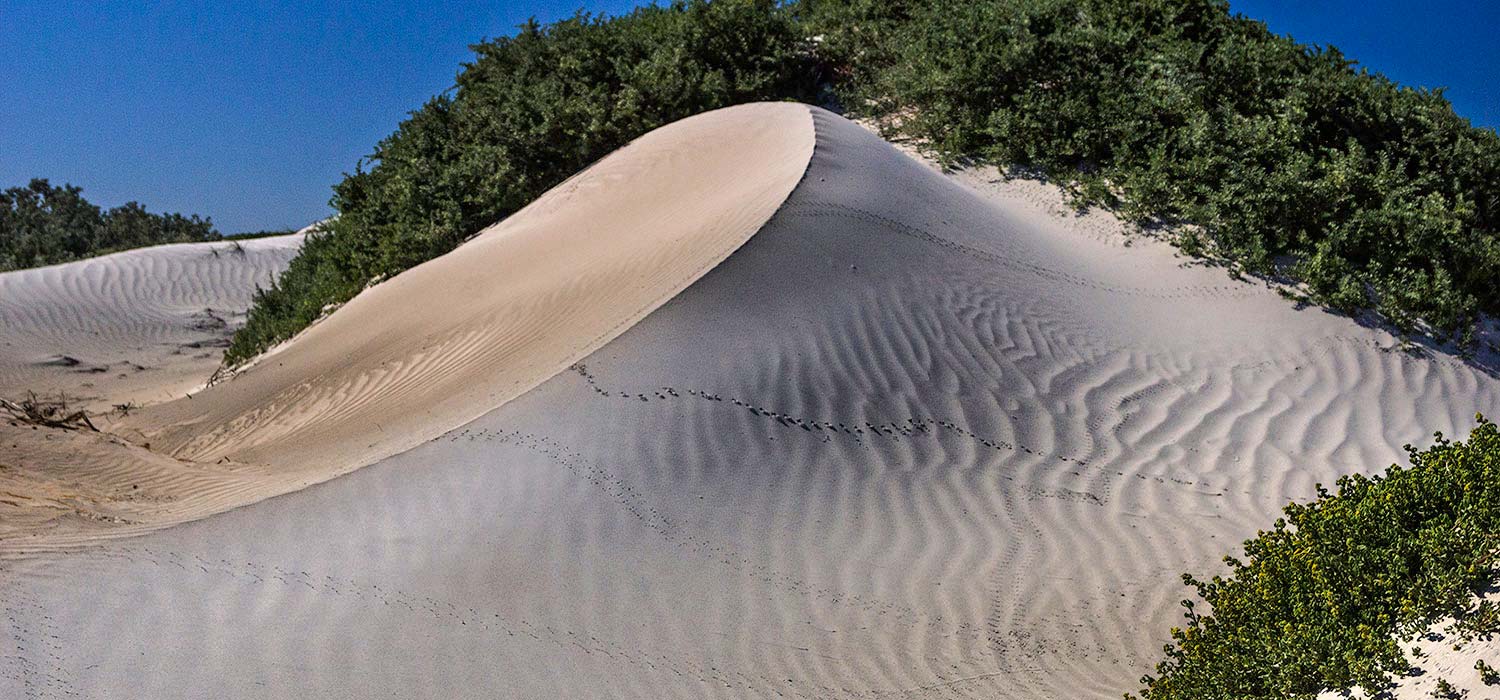 Sand dunes in Geraldton