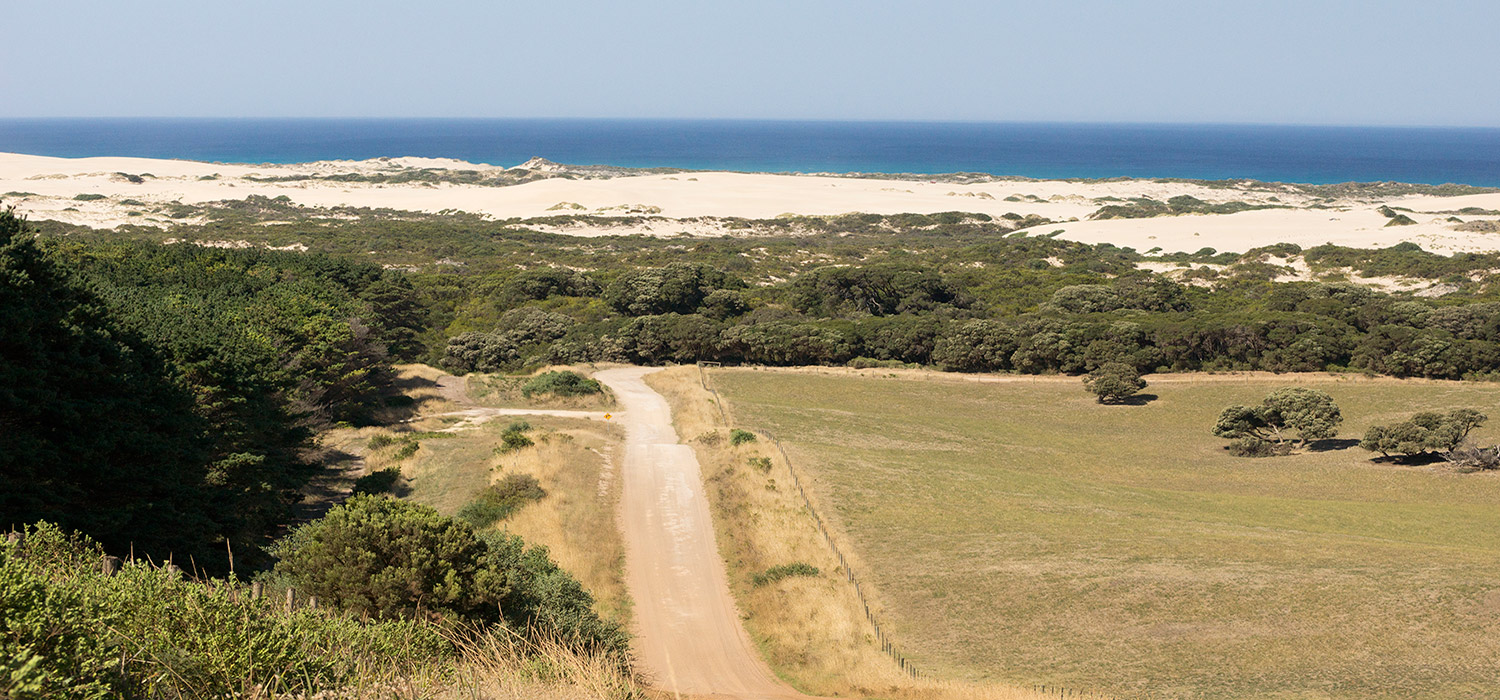 Sand dunes at Nelson 