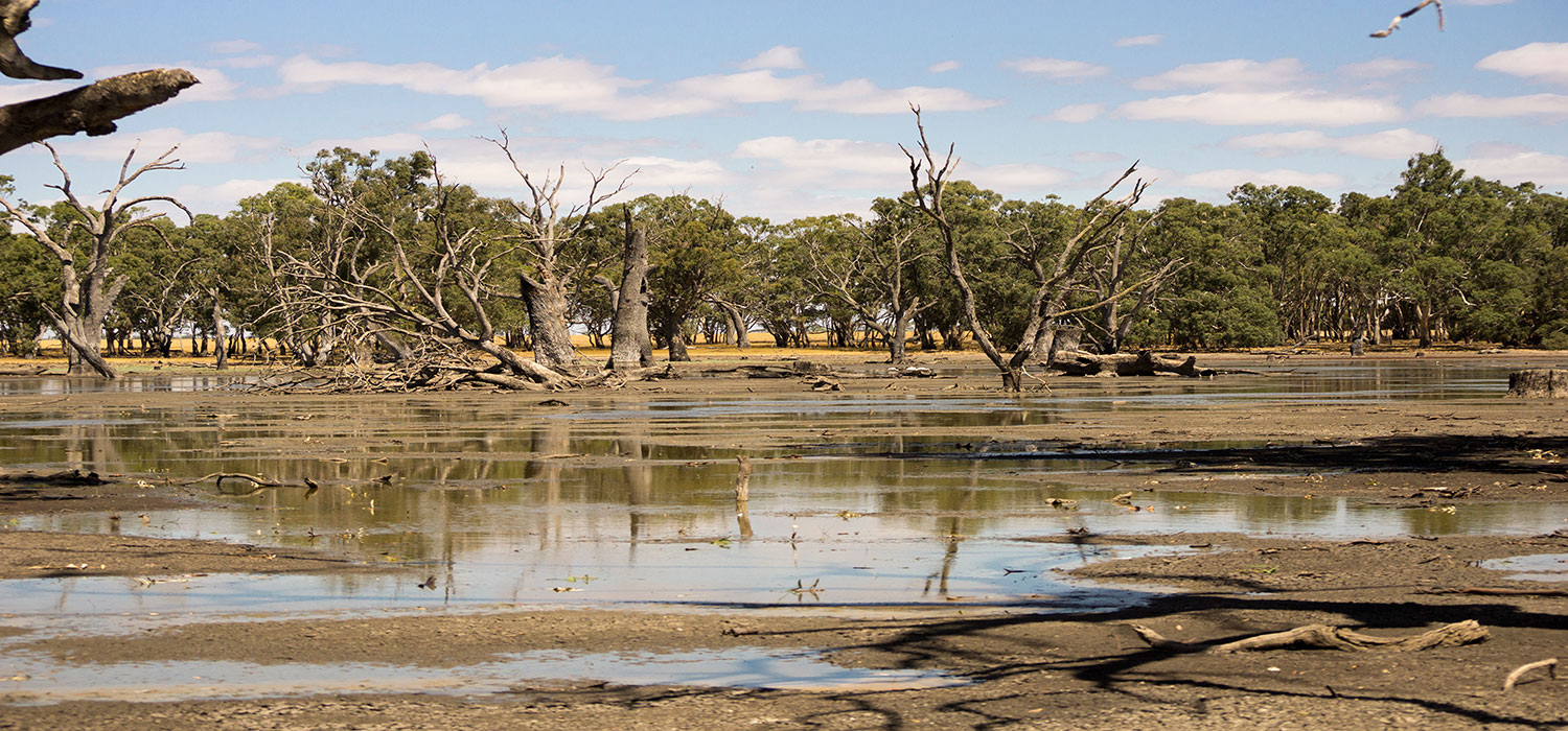 Glenelg river national park 