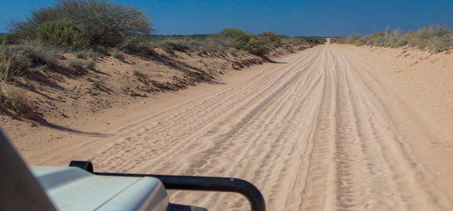 The track to 3 mile camp
