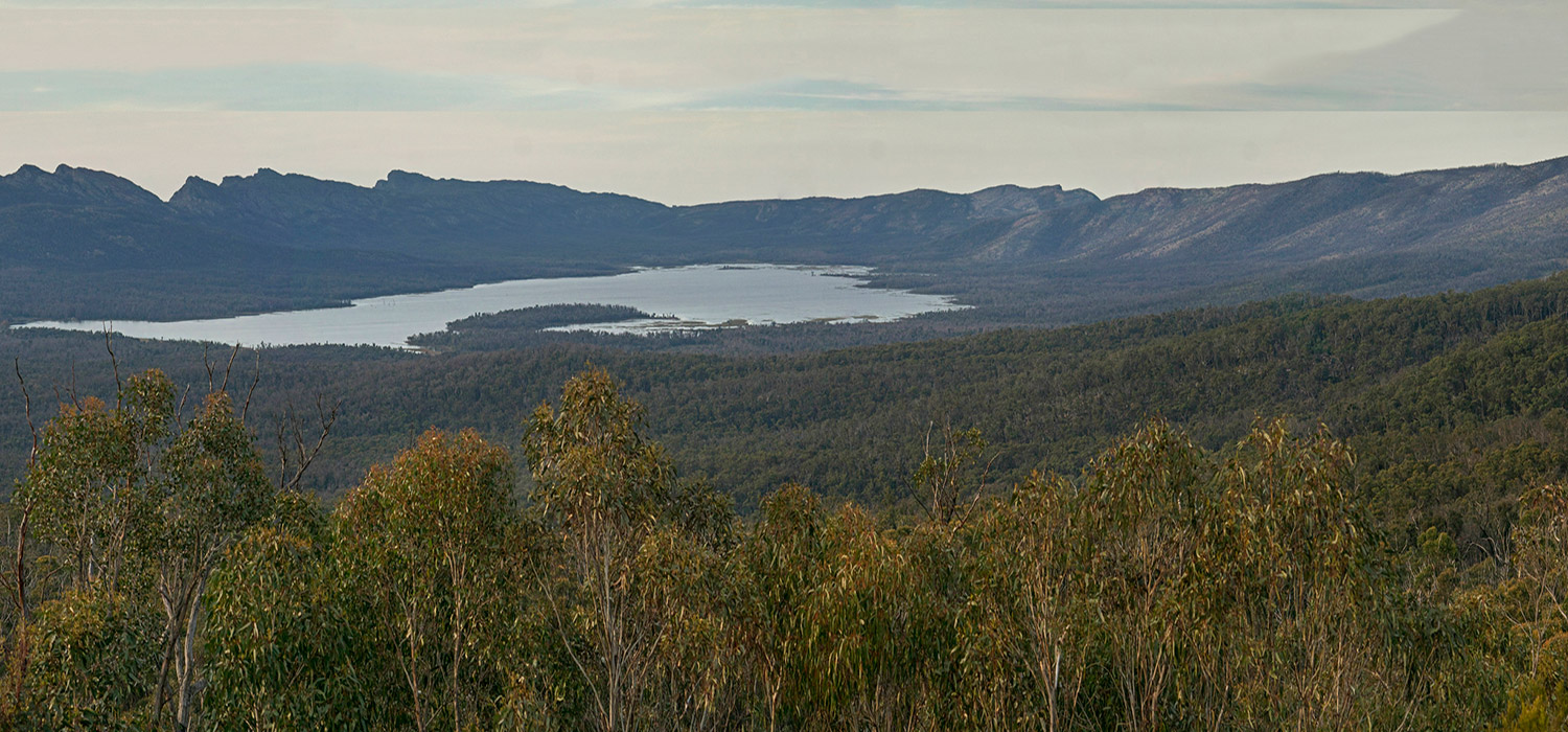 Reids lookout 