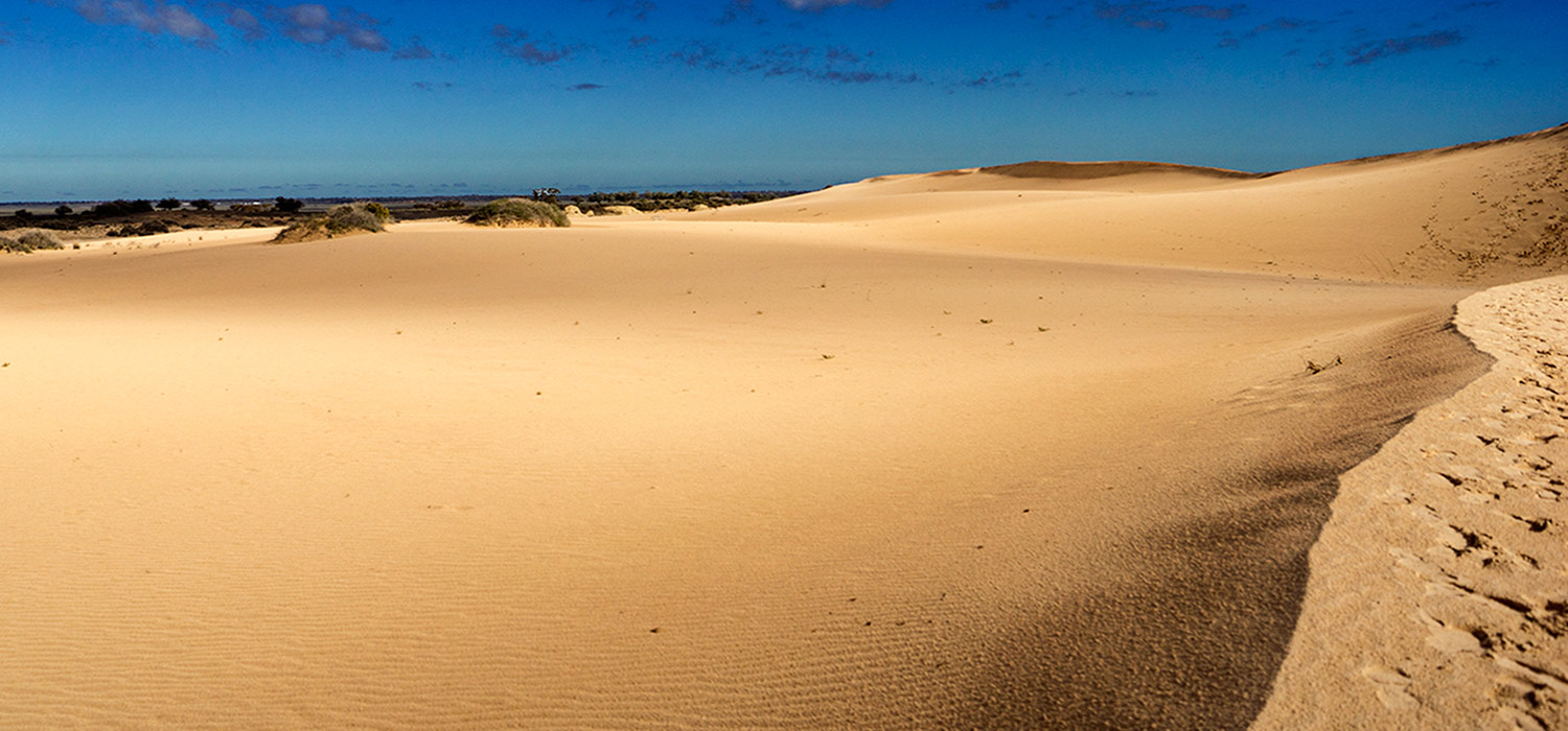 Sand dunes at Lake Mungo