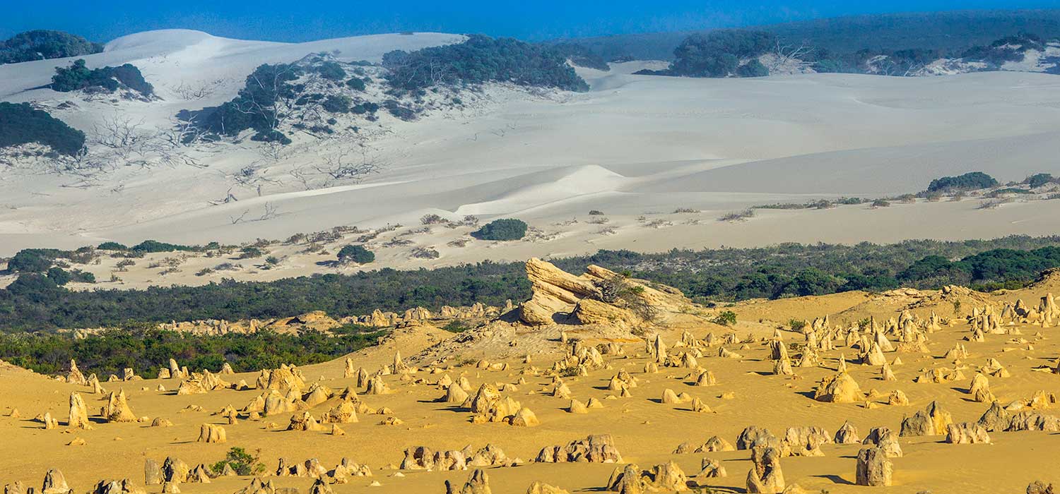 The Pinnicles and the sand dunes