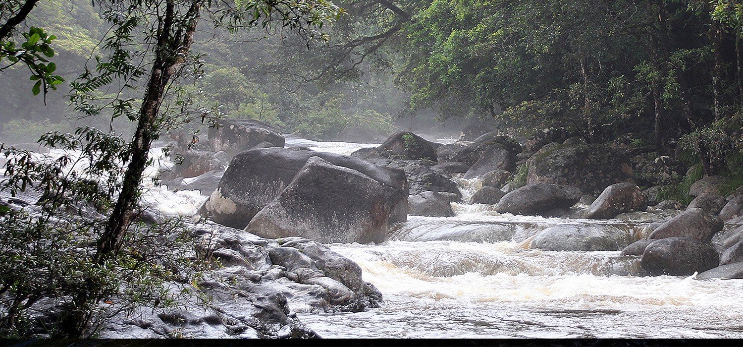 Mossman Gorge