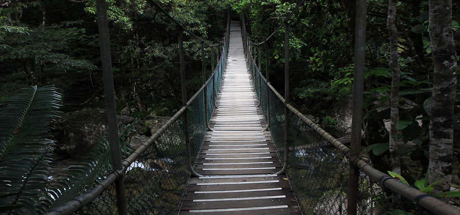 Mossman Gorge swing bridge