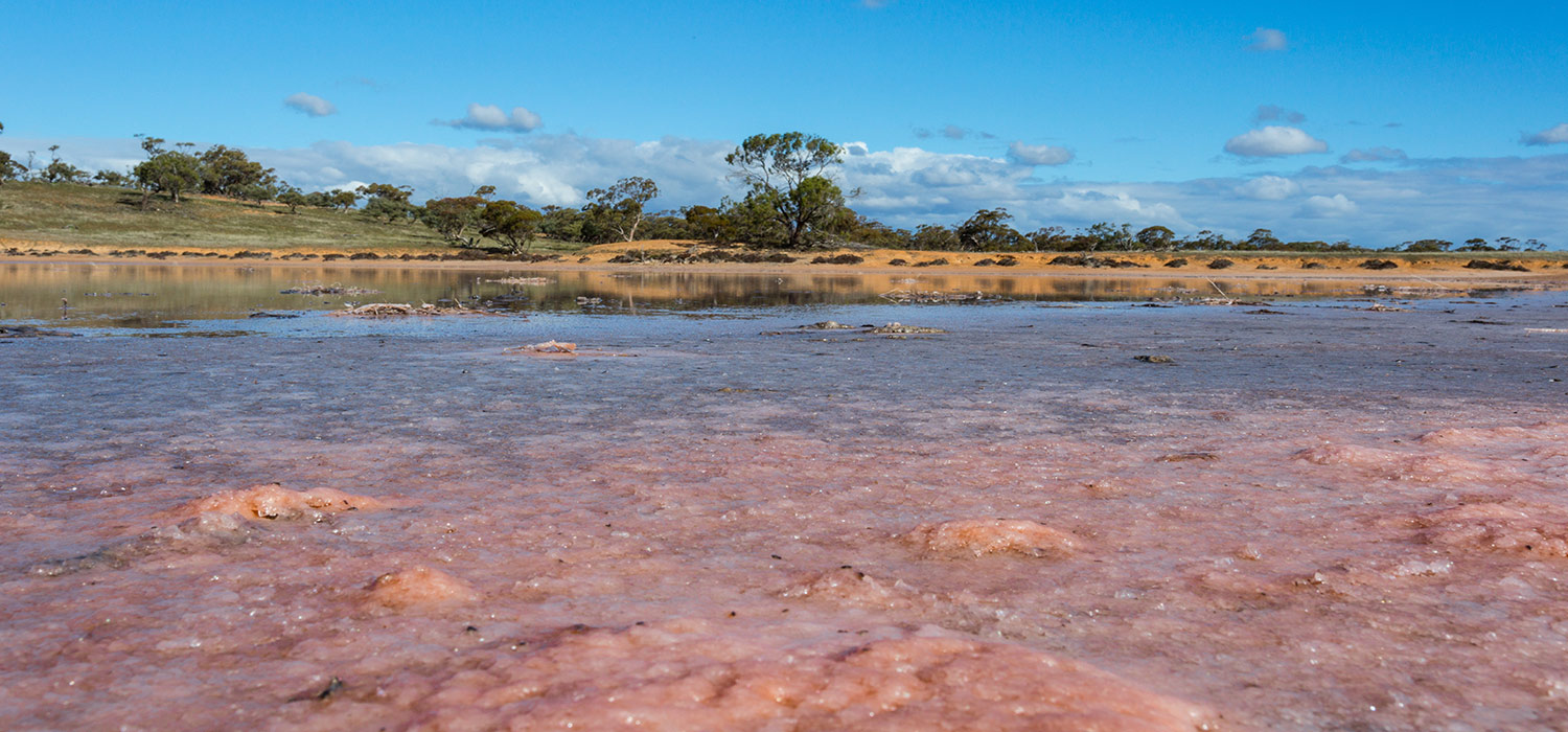Salt lake in Murray Sunset National Park