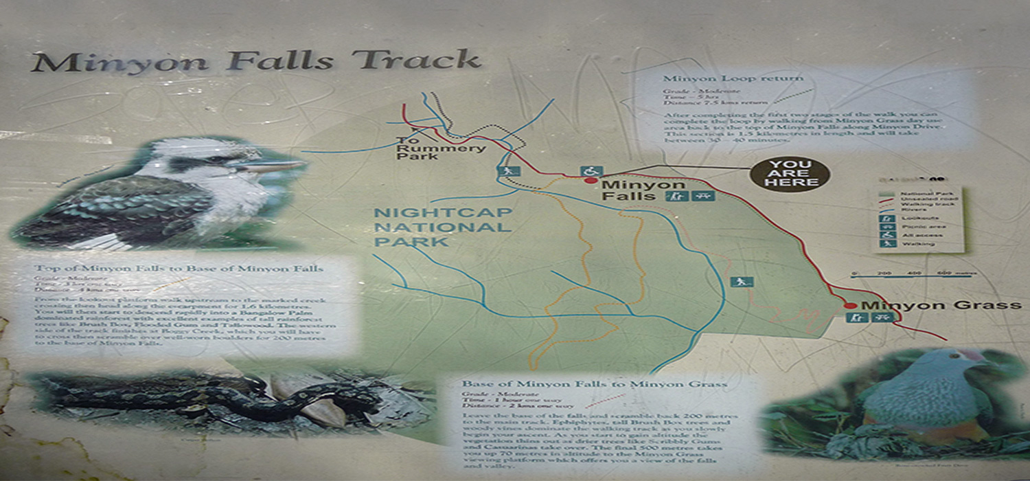 Minyon falls track