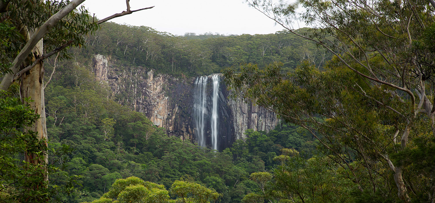 Minyon falls