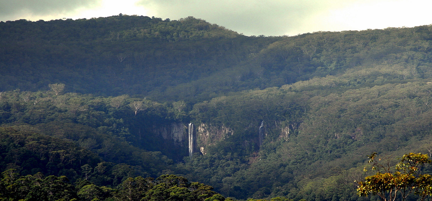 Minyon falls