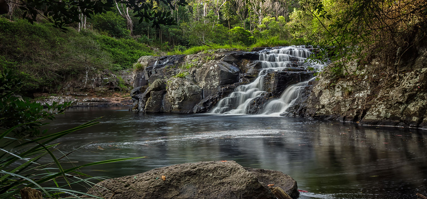 Rainforest waterfall