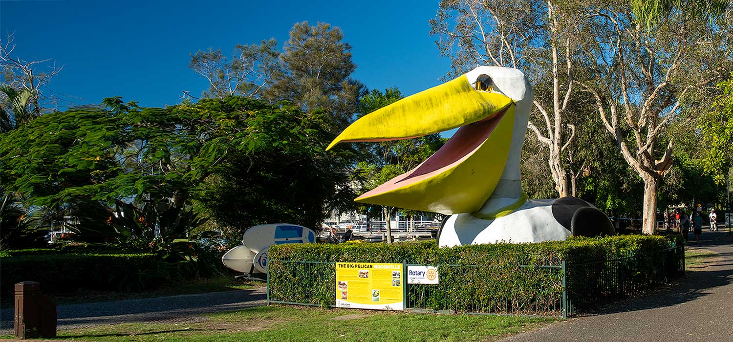 The big pelican