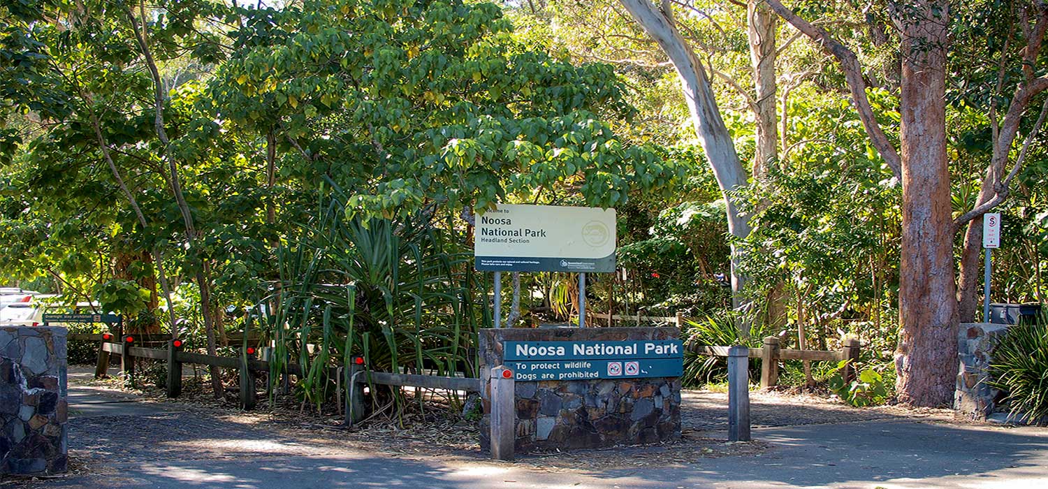 Noosa National Park