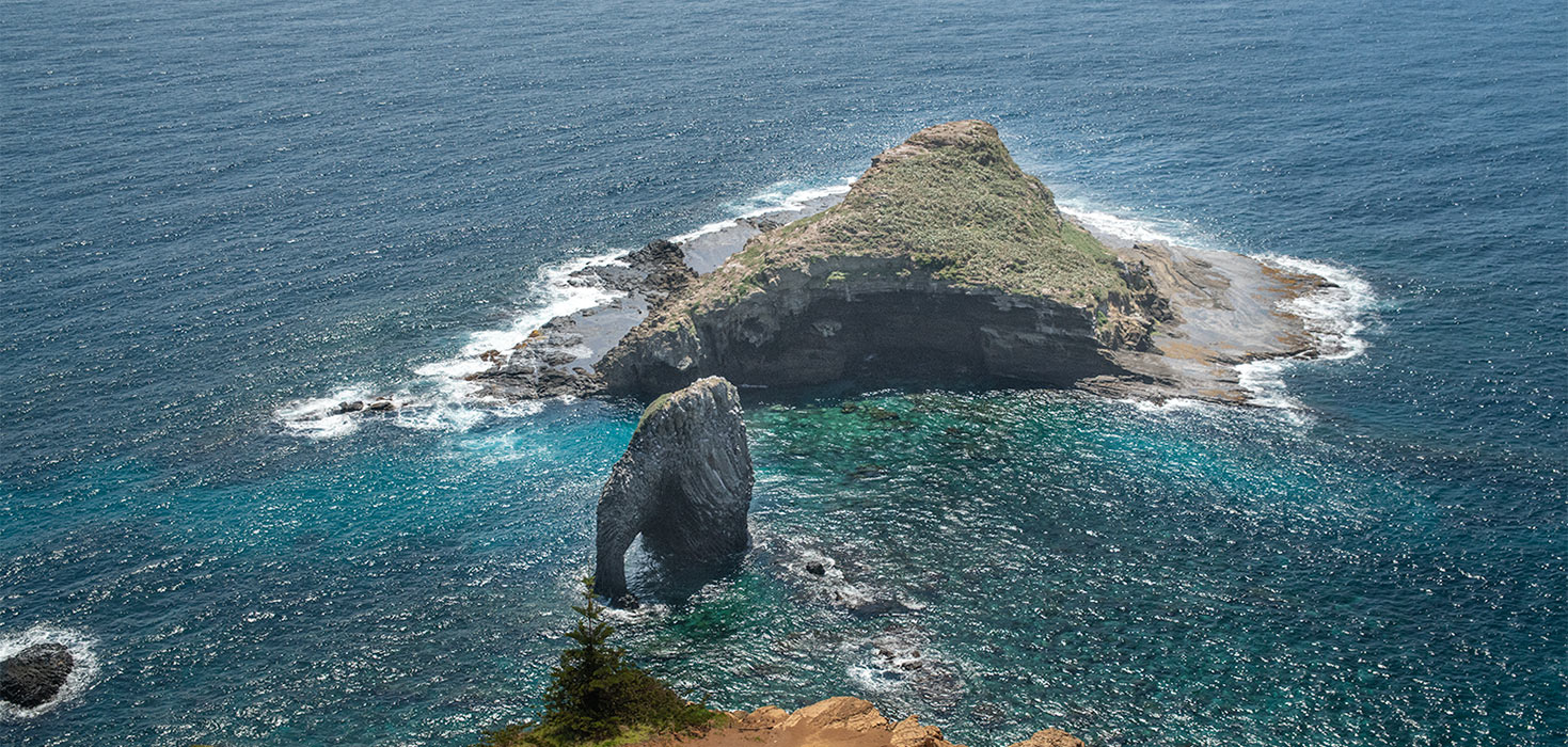 Bird and Elephant Rock