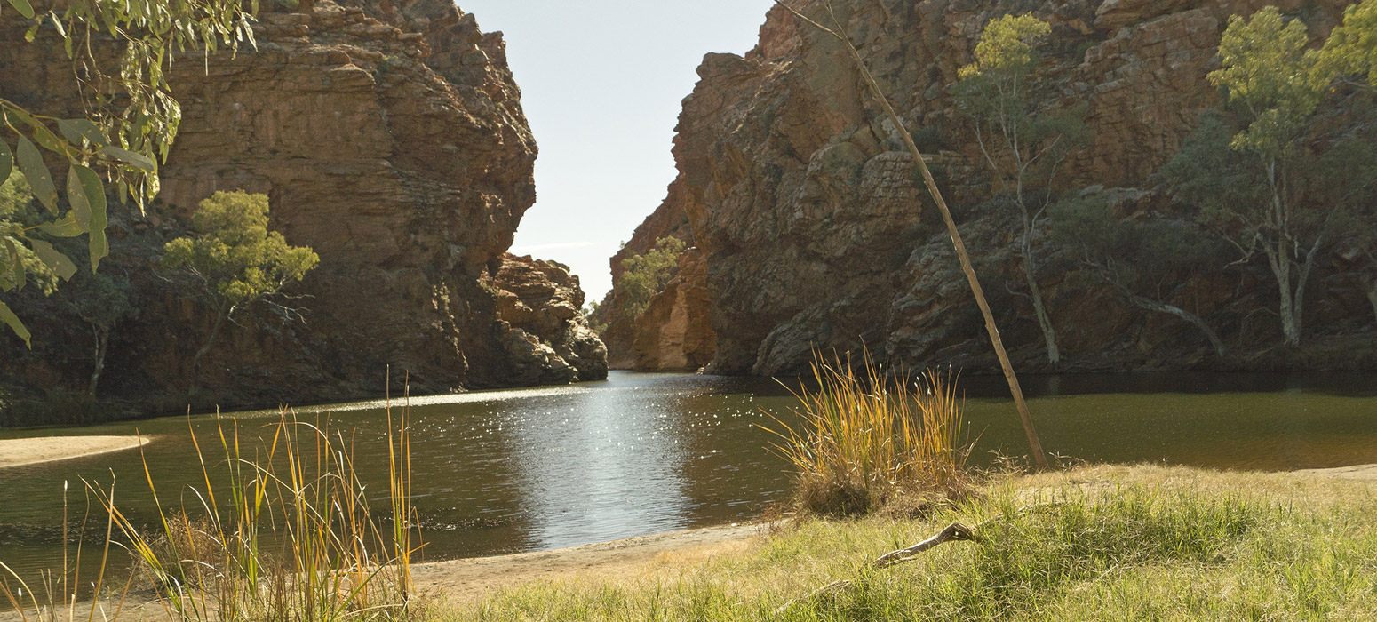 Ellery Creek