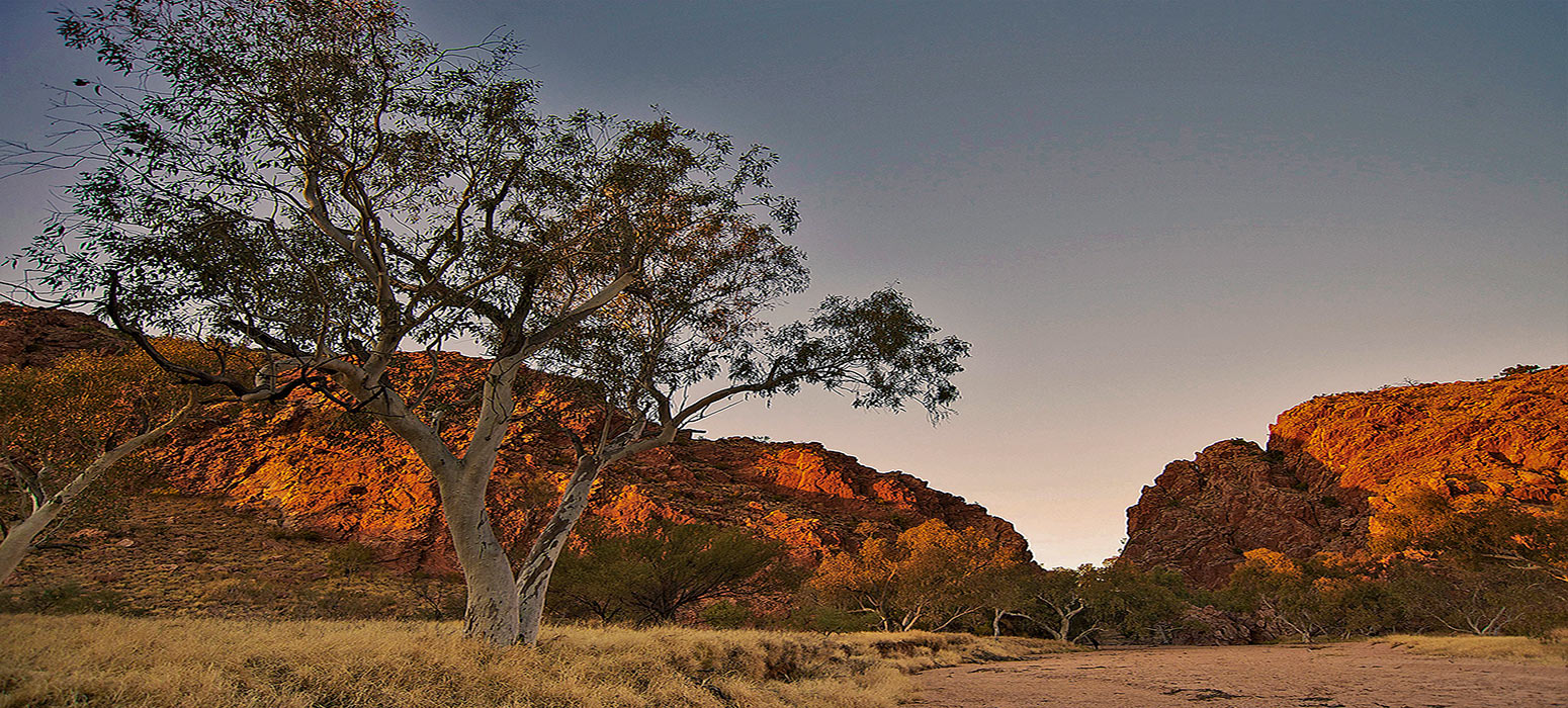 The Todd River in Alice Springs