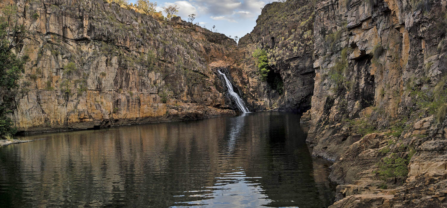 Kakadu