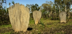 Devils Marbles