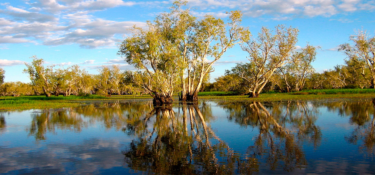 Yellow River in Kakadu