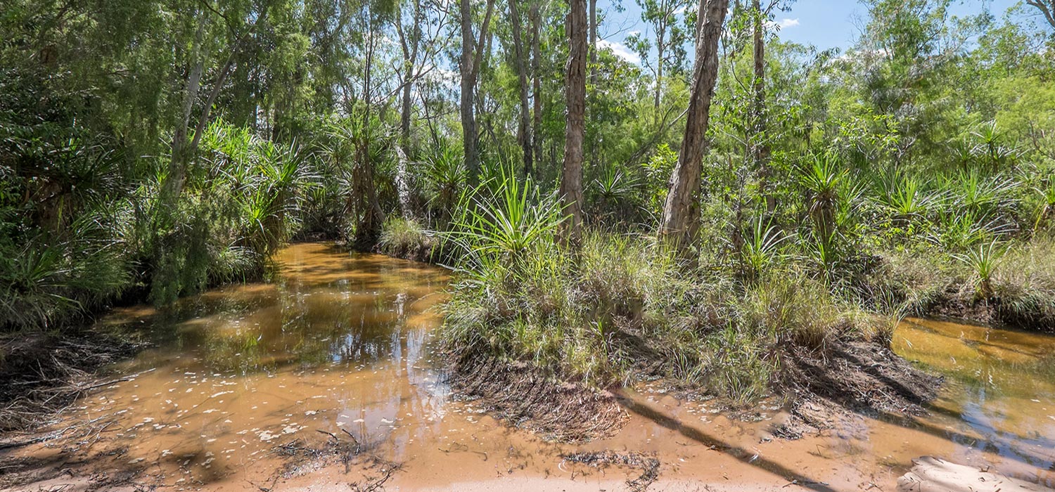 Reynolds river track in Litchfield National Park